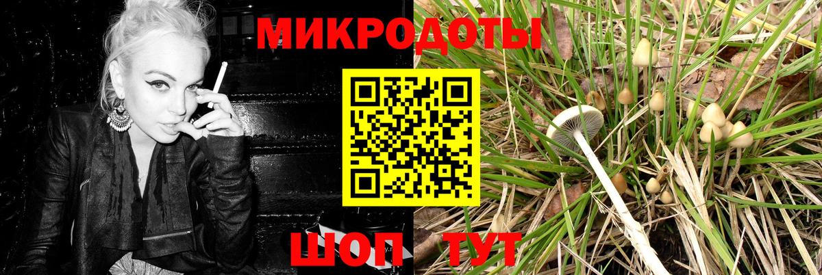 Псилоцибиновые грибы прущие грибы Дубна